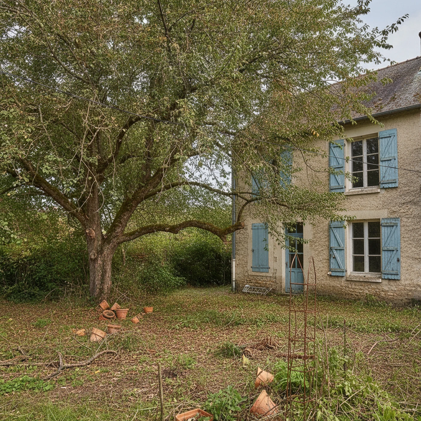 Arbre allégé après taille sanitaire à Rosières-près-Troyes